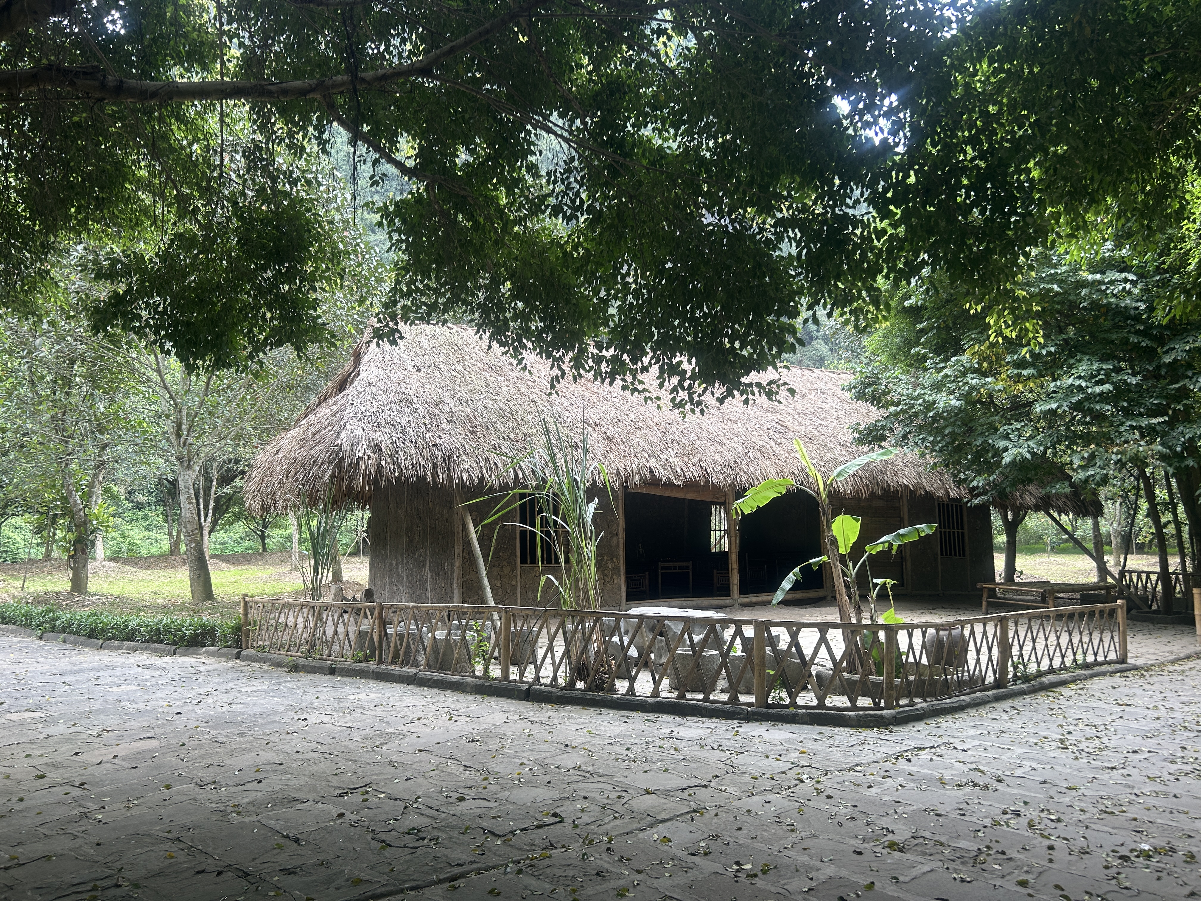 Foto